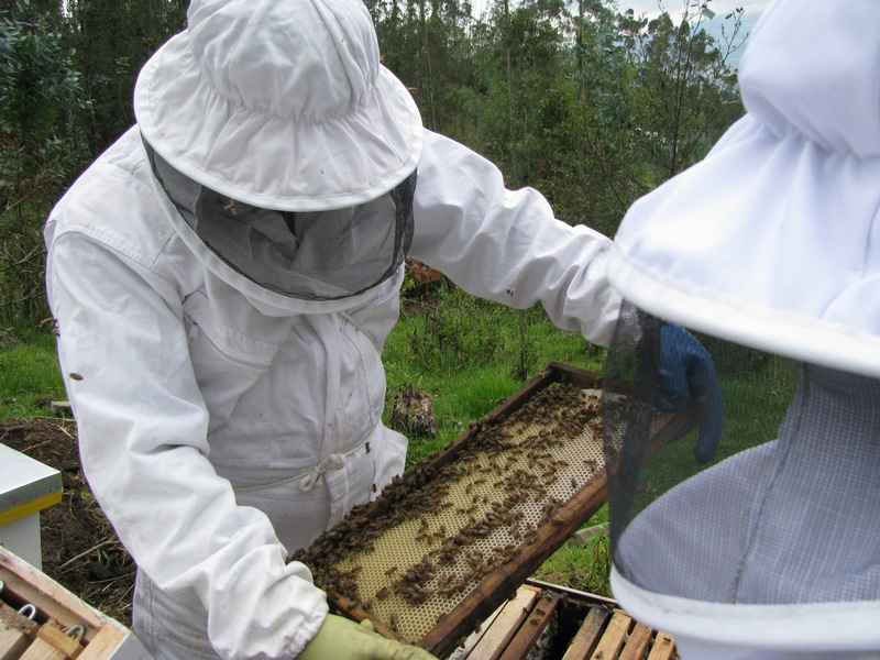We Produce our own Honey